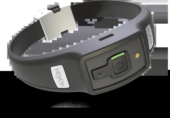 What fuels Pet Smart Wearable Devices Market in 2025?  